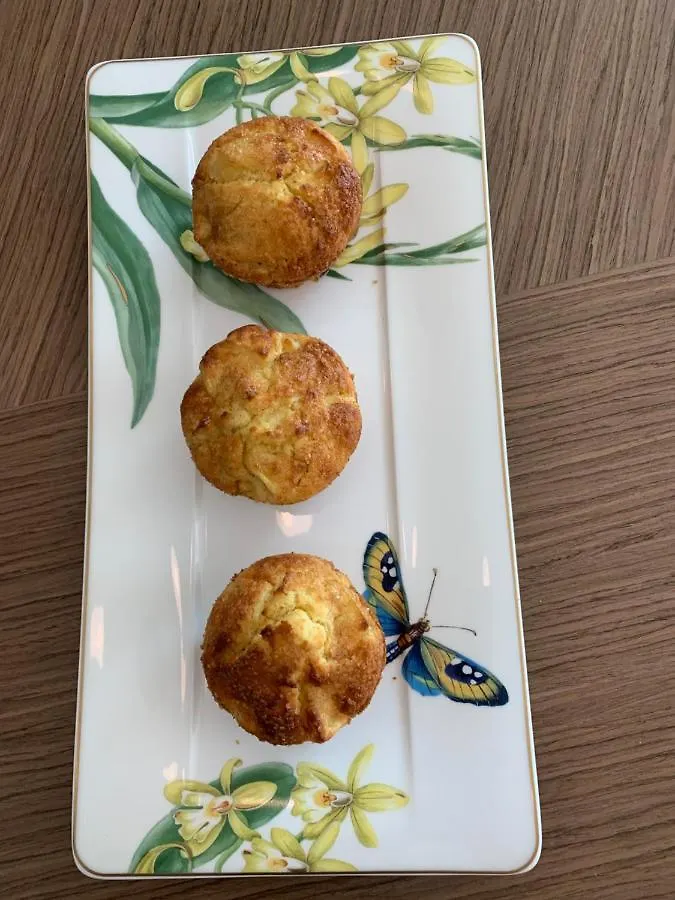 Ht Hotel Trieste 格拉迪斯卡·迪松佐 3*,